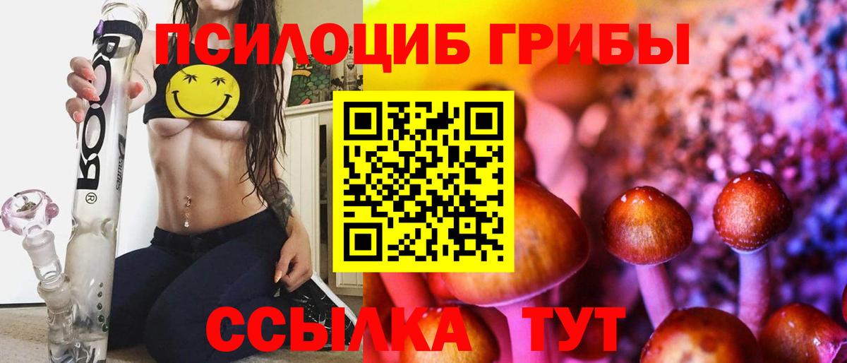 A PVP Камышлов