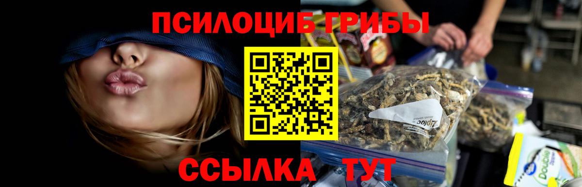 Камышлов  Галлюциногенные грибы мухоморы  Вход с VPN  Псилоцибиновые грибы прущие грибы 
